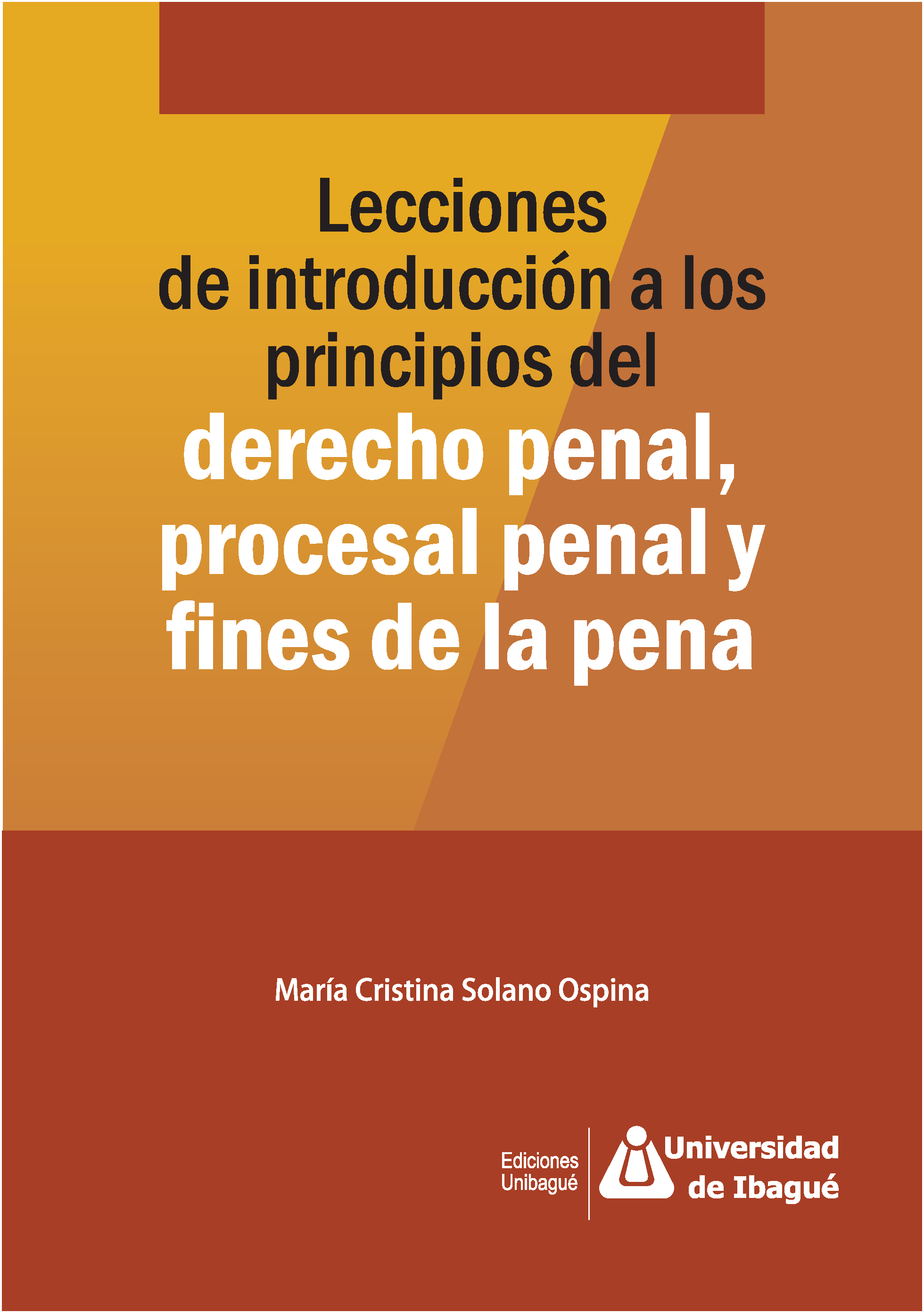 Cover of Lecciones de introducción a los principios del derecho penal, procesal penal y fines de la pena